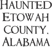 Published by Haunted America A Division of The History Press Charleston SC - photo 1