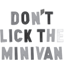 Dont Lick the Minivan And Other Things I Never Thought Id Say to My Kids - image 1