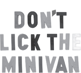 Dont Lick the Minivan And Other Things I Never Thought Id Say to My Kids - image 2