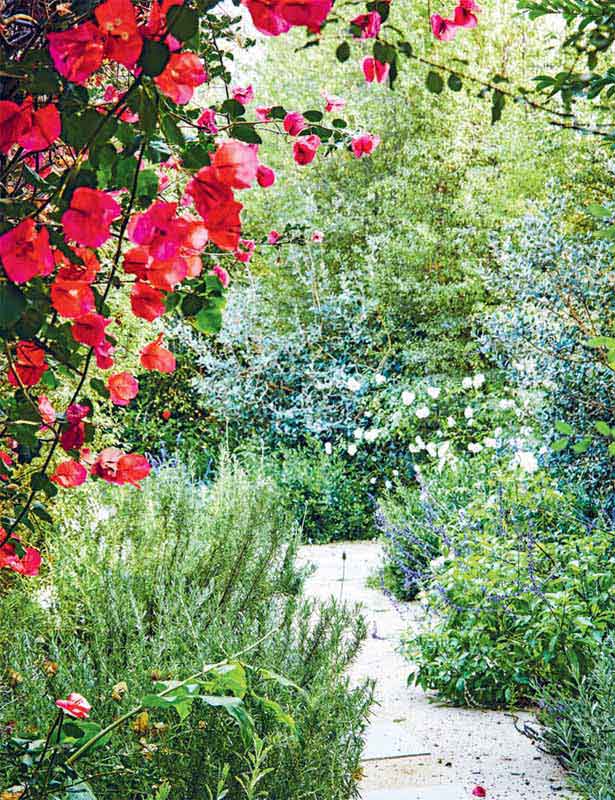 Contents Preface I spend hours in our garden gathering pansies roses - photo 3