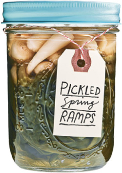 Put em up a comprehensive home preserving guide for the creative cook from drying and freezing to canning and pickling - image 9