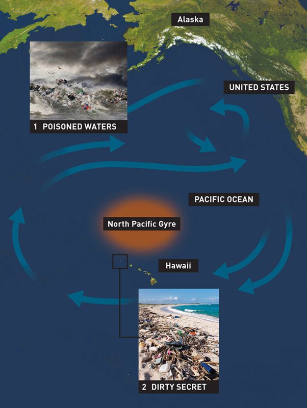 1 POISONED WATERS Our increasing use of plastics has helped extend humanitys - photo 3