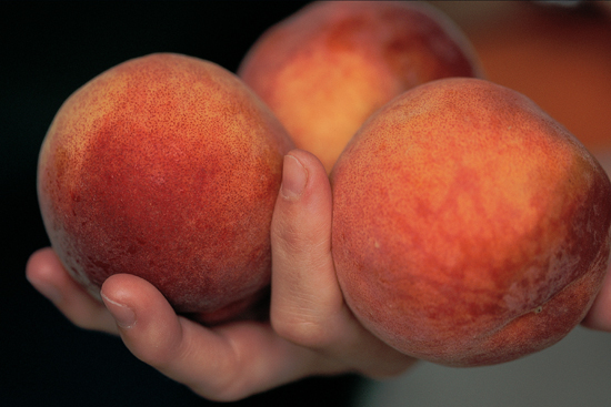 Summer peaches Catalonia Fresh Fuerteventura goat cheese - photo 4