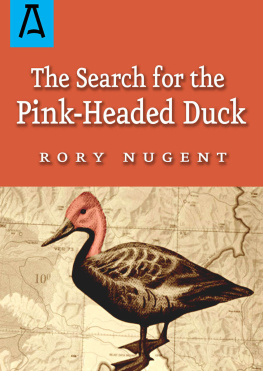 Nugent - The Search for the Pink-Headed Duck: A Journey into the Himalayas and Down the Brahmaputra