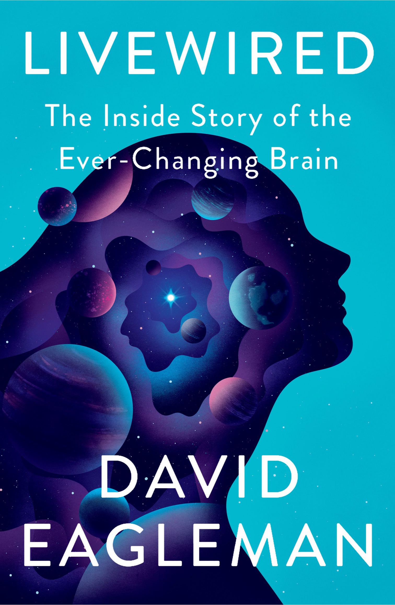 ALSO BY DAVID EAGLEMAN Sum Incognito The Secret Lives of the Brain Why - photo 1