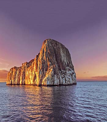 Kicker Rock an albatross The Galpagos archipelago is one place on earth - photo 7