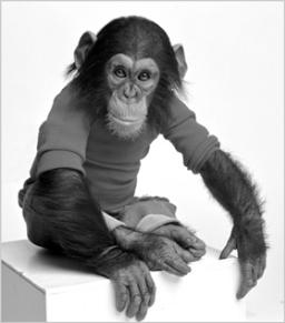 Elizabeth Hess Nim Chimpsky The Chimp Who Would Be Human ePub r10 nalasss - photo 1