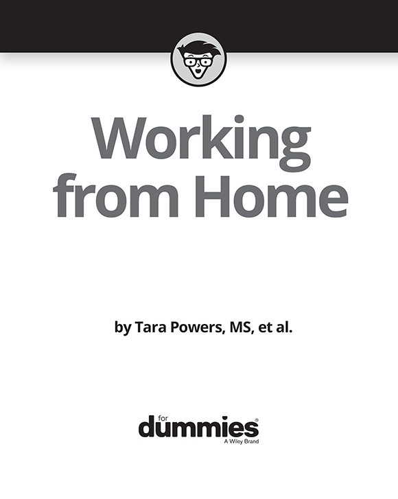 Working From Home For Dummies Published by John Wiley Sons Inc 111 River - photo 2