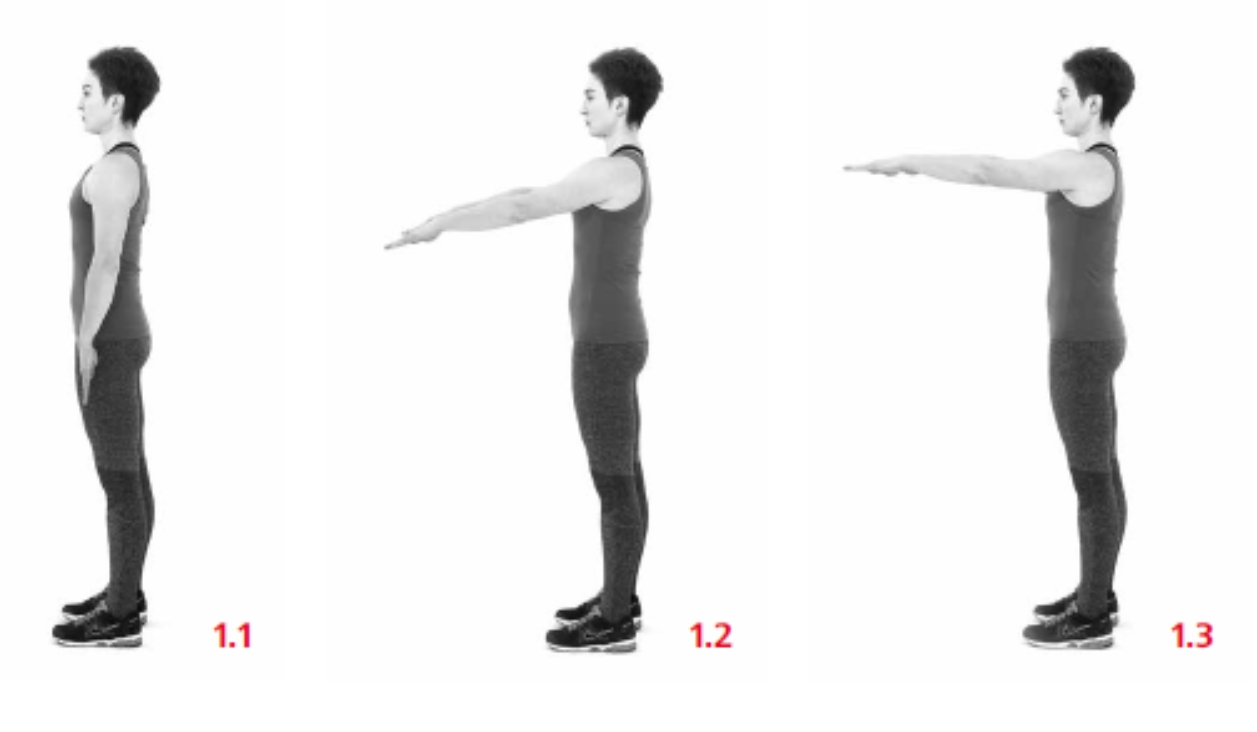 Dynamic contraction of the front part deltoid muscle 11 Stand feet apart at - photo 1