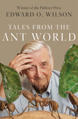 Edward O. Wilson Tales from the Ant World