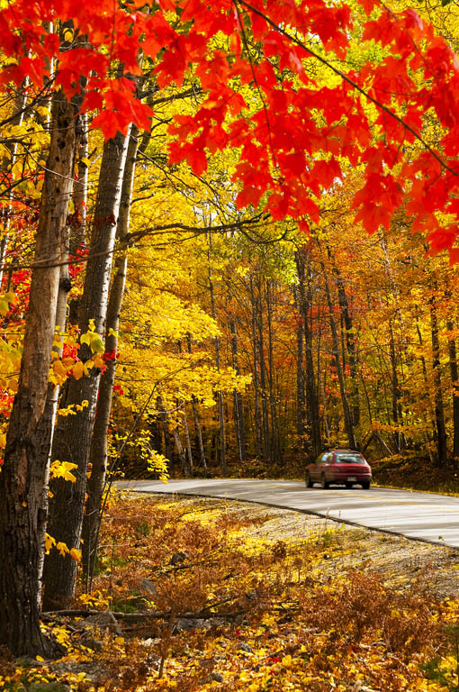 ALAN COPSONGETTY IMAGES The AT traverses 14 states and more than 2100 miles - photo 6