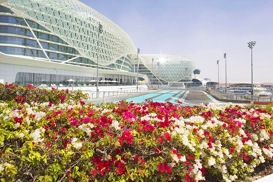 LATITUDESTOCKFRANK FELLGETTY IMAGES Abu Dhabi Top Sights Falcons occupy - photo 11