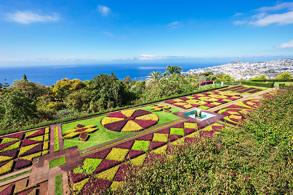 Saiko3pShutterstock Madeira Top Sights Admire the Flemish art and other - photo 12