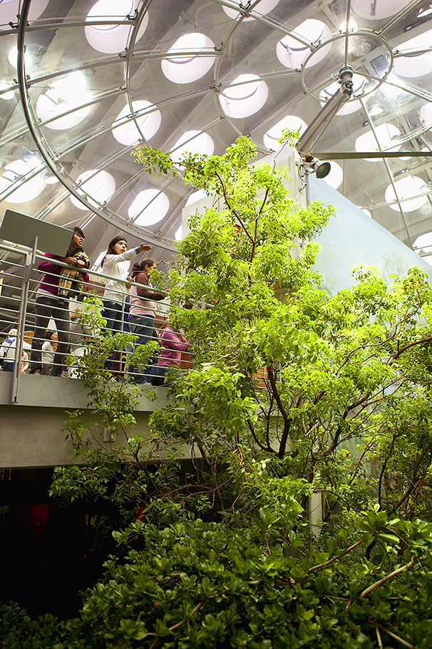 California Academy of Sciences KRIS DAVIDSON GETTY IMAGES San Francisco Top - photo 12