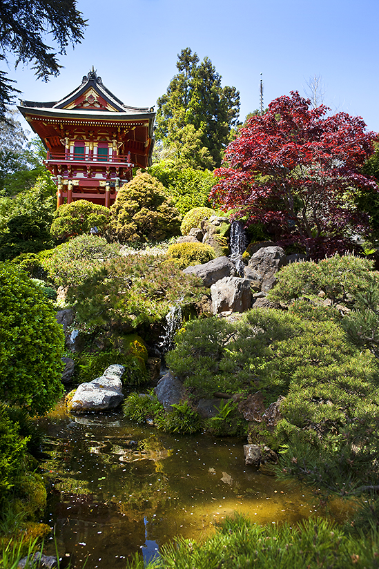 Golden Gate Park GERI LAVROV GETTY IMAGES San Francisco Top Sights de - photo 9