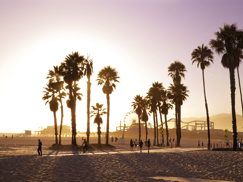 Venice Beach Los Angeles MATT HENRY GUNTHER GETTY IMAGES LOS ANGELES - photo 11