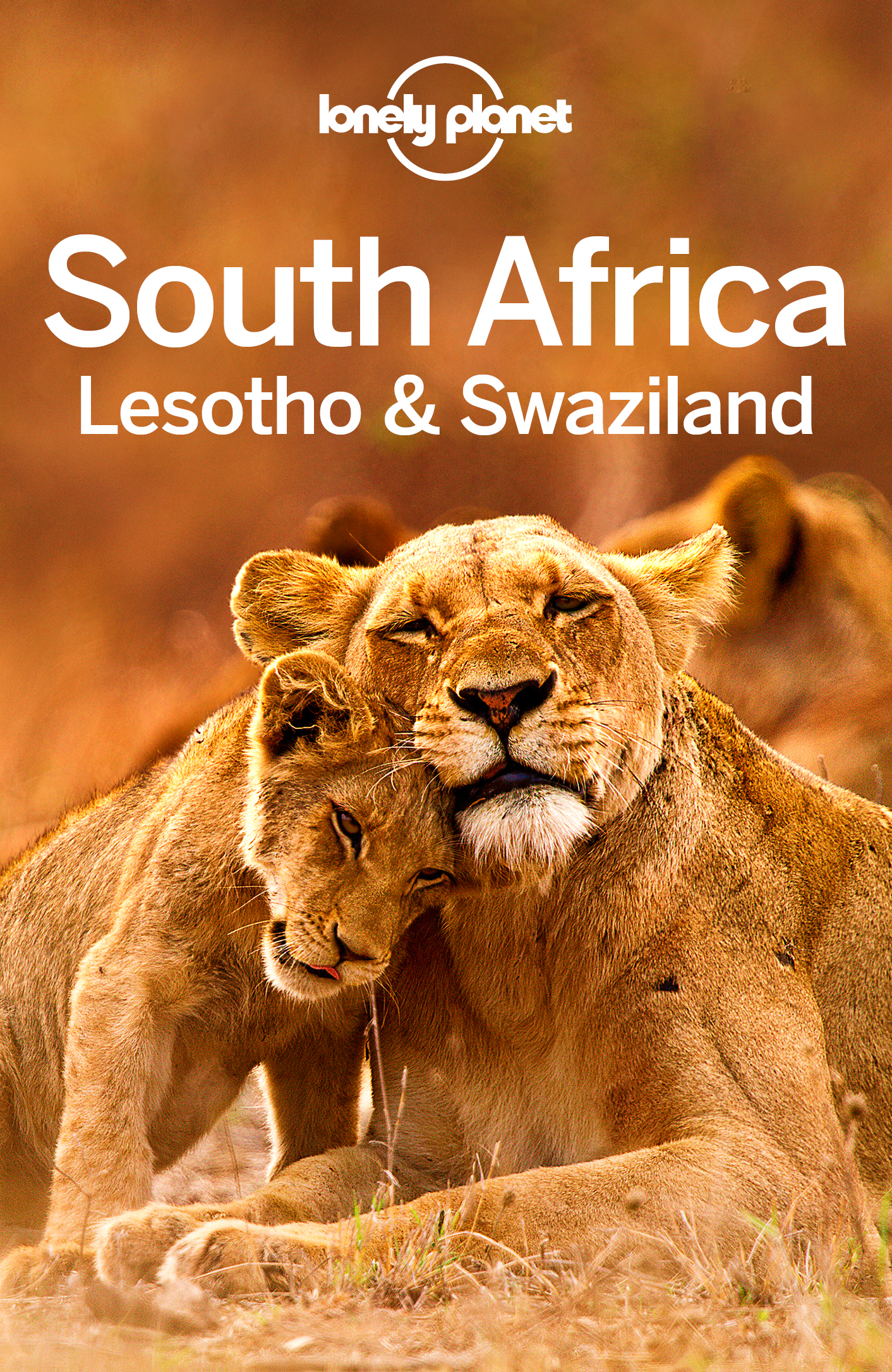 South Africa Lesotho Swaziland Travel Guide - image 1