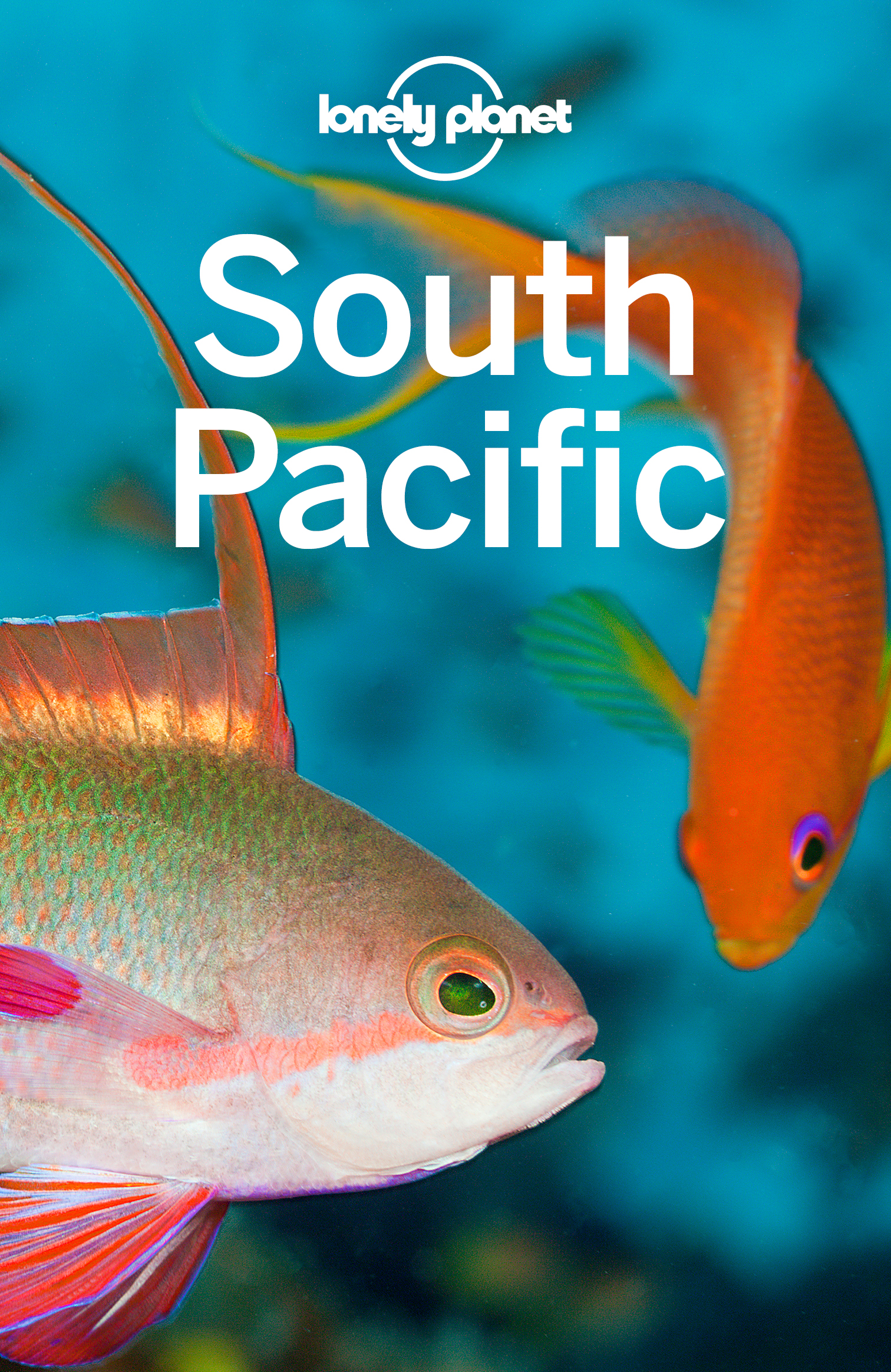 South Pacific Travel Guide - image 1