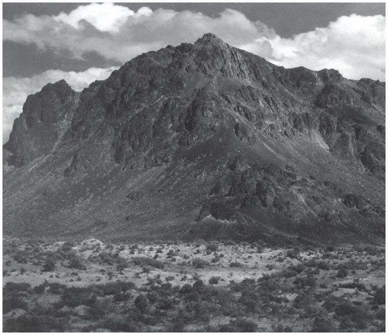 Page iii MAX C FLEISCHMANN SERIES IN GREAT BASIN NATURAL HISTORY - photo 3