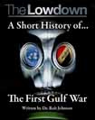 Johnson Robert A Short History of the First Gulf War