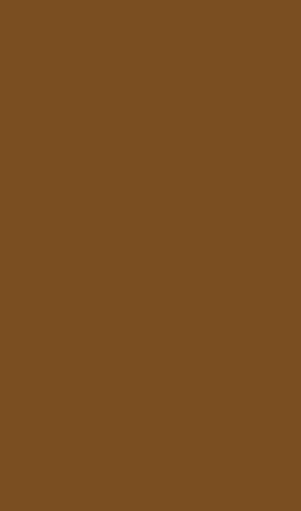 Warm Earth PANTONE 463 Cordwood PANTONE 468 Campfire PANTONE 158 Deep - photo 17