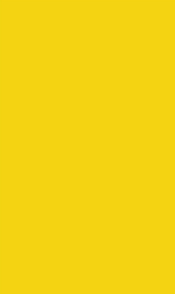 Super Lemon PANTONE 14-0754 Antique White PANTONE 11-0105 Dress Blues - photo 26