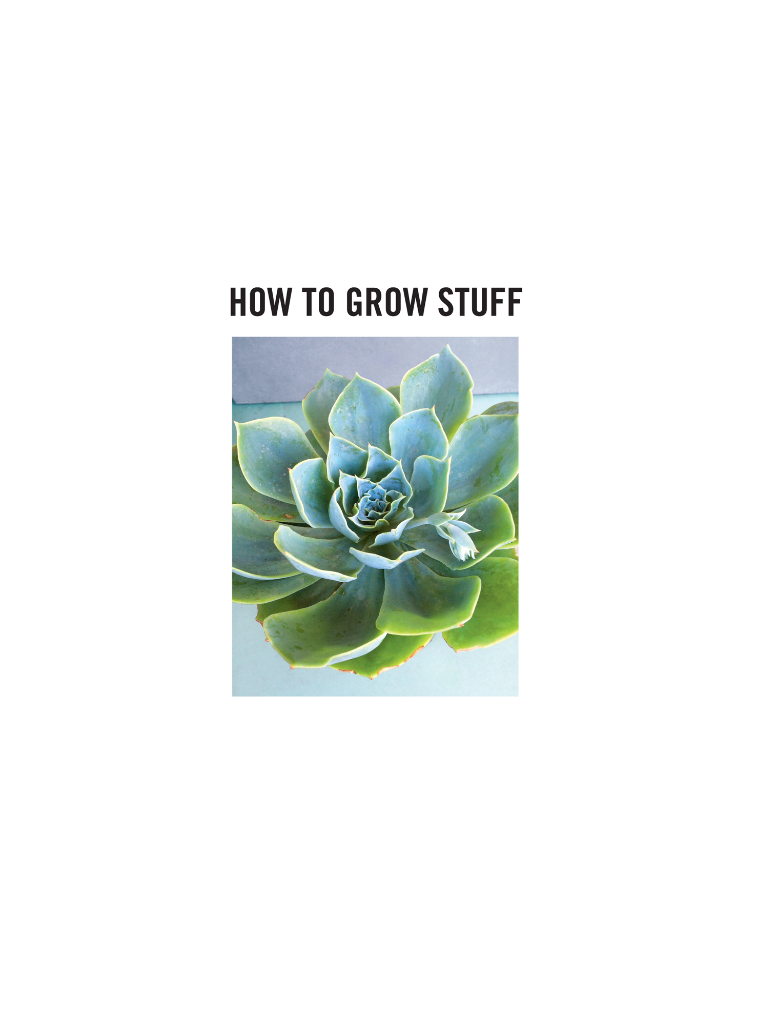 How to Grow Stuff - photo 2