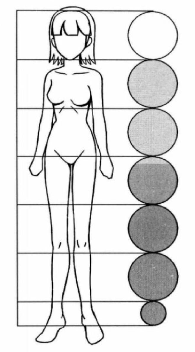 6 head to body ratio Here we have drawn two examples of 65 and 6 heads - photo 3