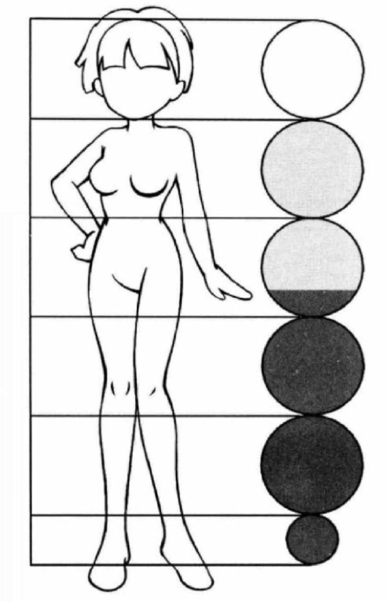 5 head to body ratio Here we draw two examples of 5 5 and 5 heads - photo 7