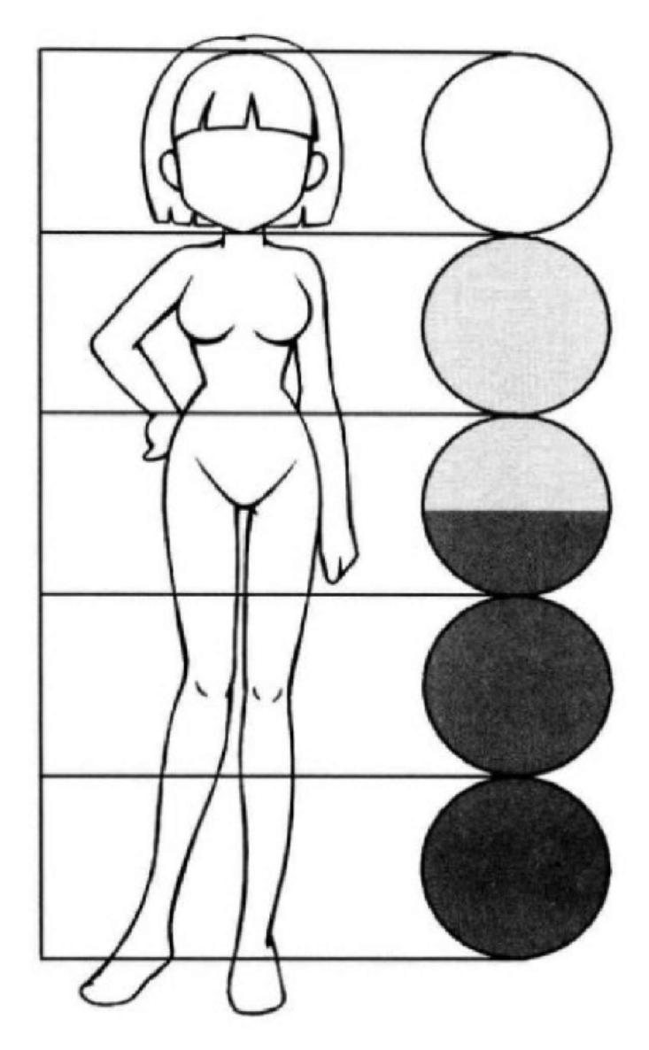 Here we draw two examples of 5 5 and 5 heads Comparing the body ratios of 65 - photo 8