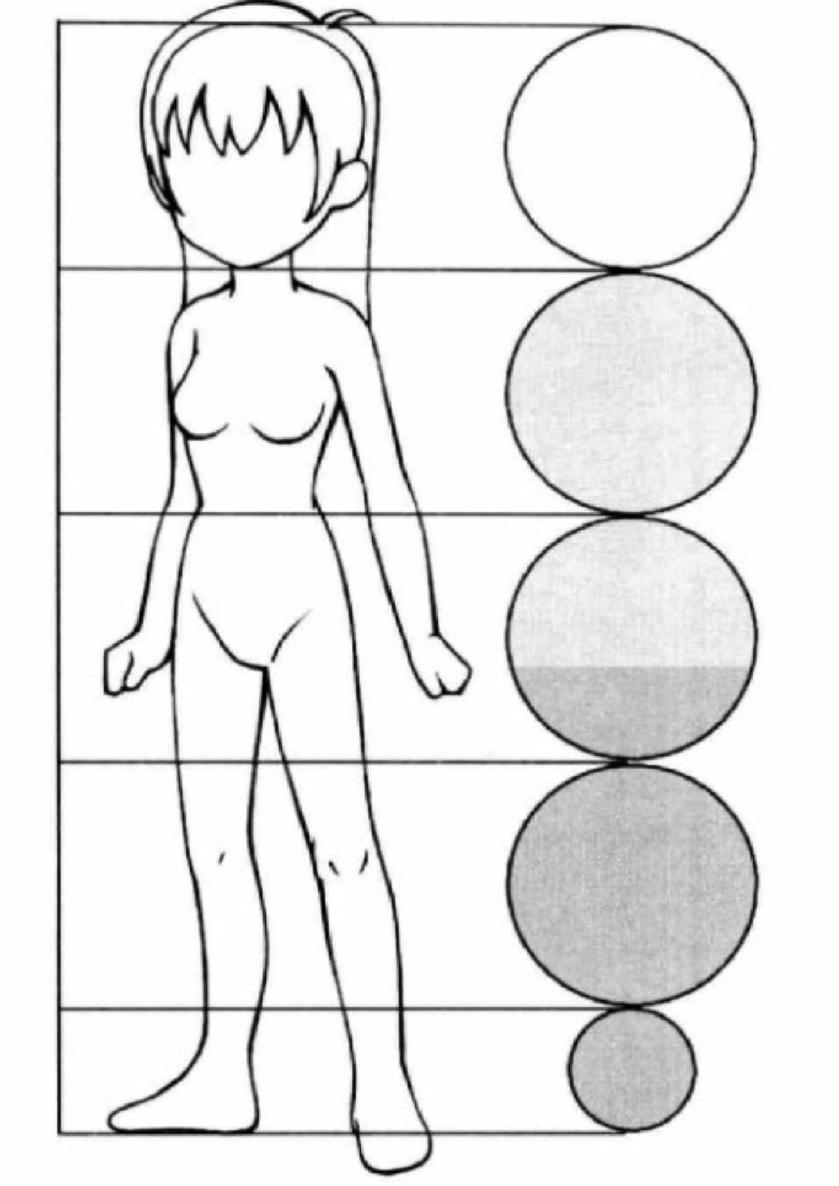 4 head to body ratio Here we have drawn 45 and 4 head-to-body ratio - photo 10