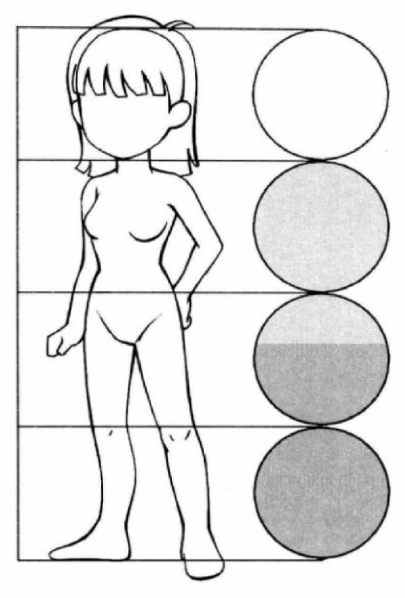 Here we have drawn 45 and 4 head-to-body ratio charts Compared to the - photo 11