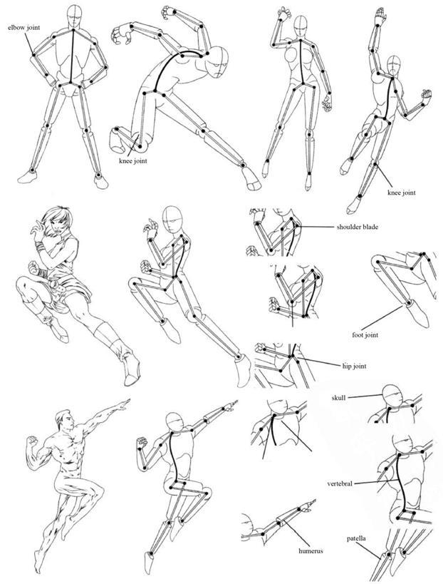 HUMAN MUSCLES The muscles can express the shape of a character and the muscles - photo 2