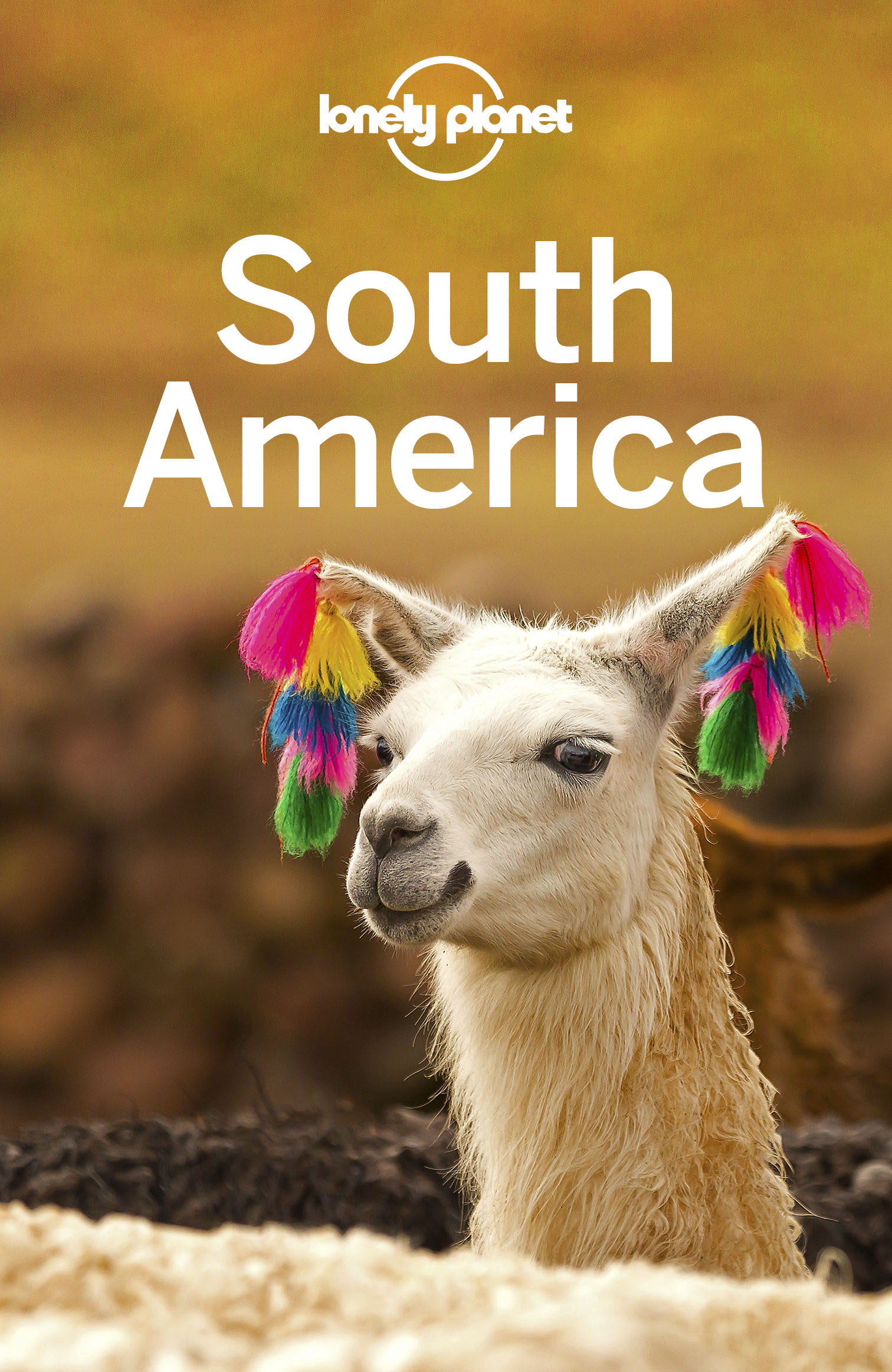 Lonely Planet South America - image 1