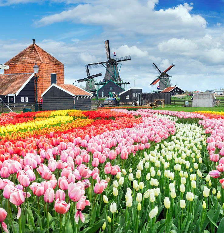 NEIRFYSHUTTERSTOCK Why I Love the Netherlands By Nicola Williams Writer I - photo 8