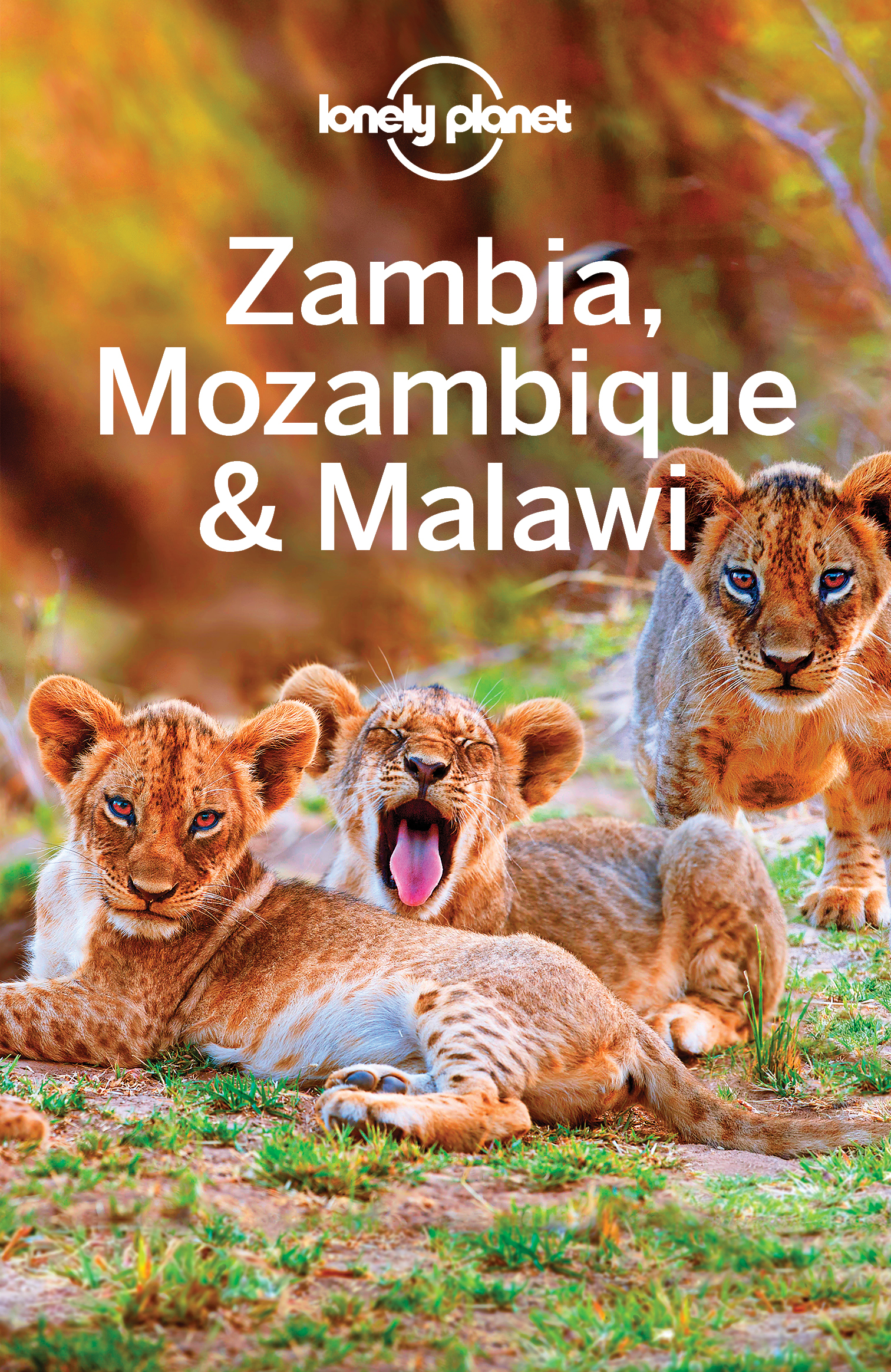 Lonely Planet Zambia Mozambique Malawi - image 1