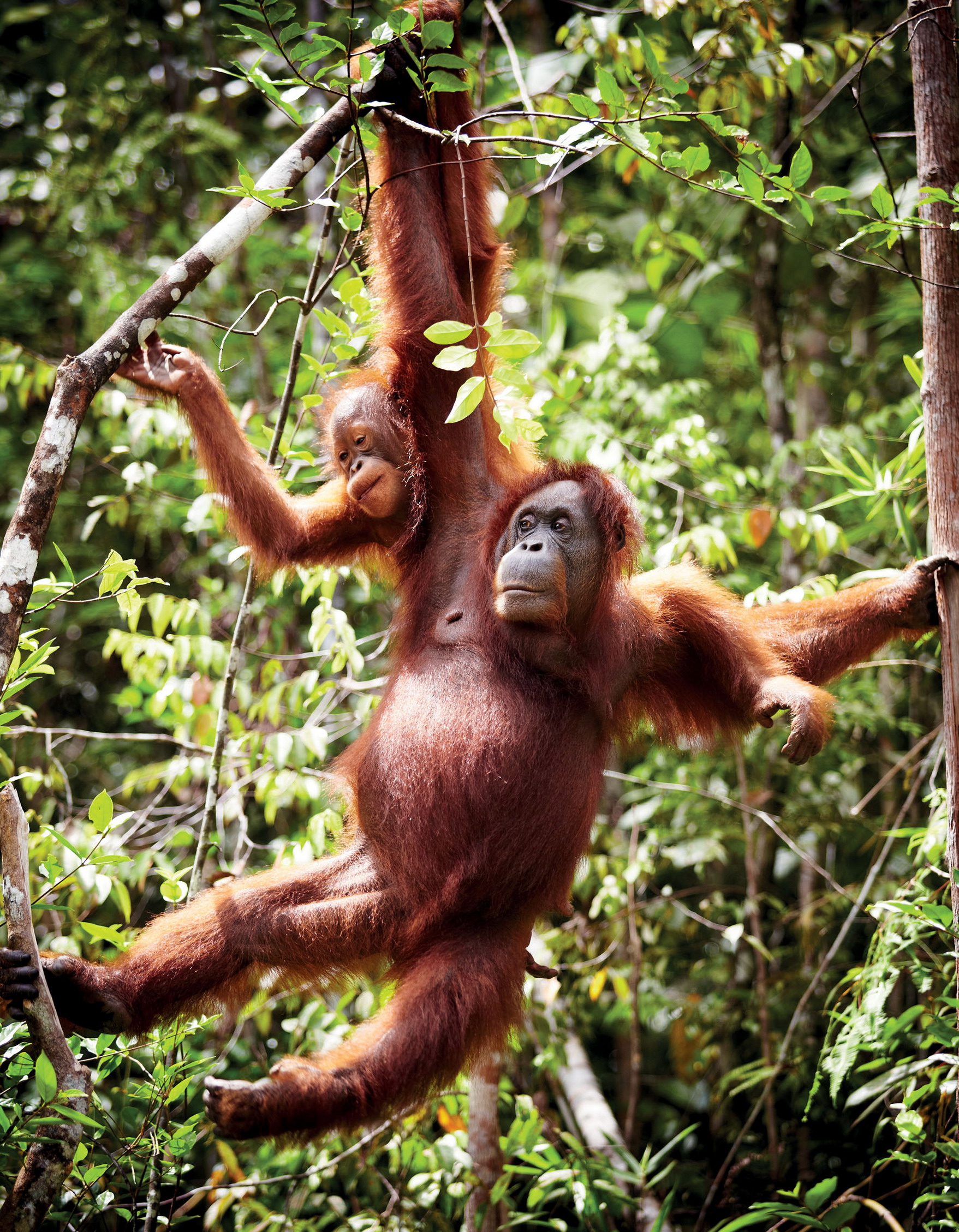 Matt Munro Lonely Planet Amy-Jane Beer Amy studied Biology at Royal - photo 6