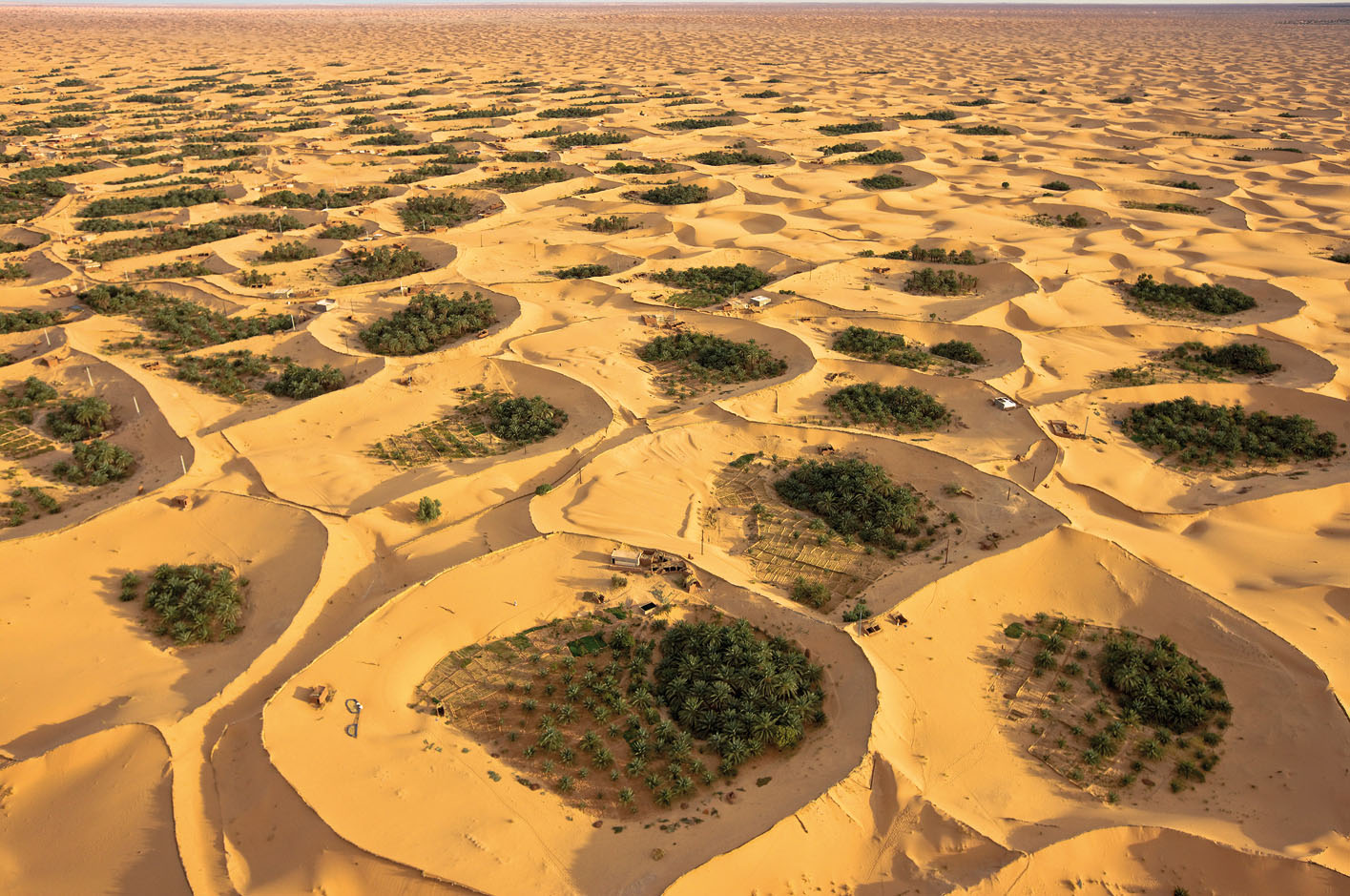 Sahara Desert Algeria Water lies about 15m below the Adjder oasis and the - photo 12