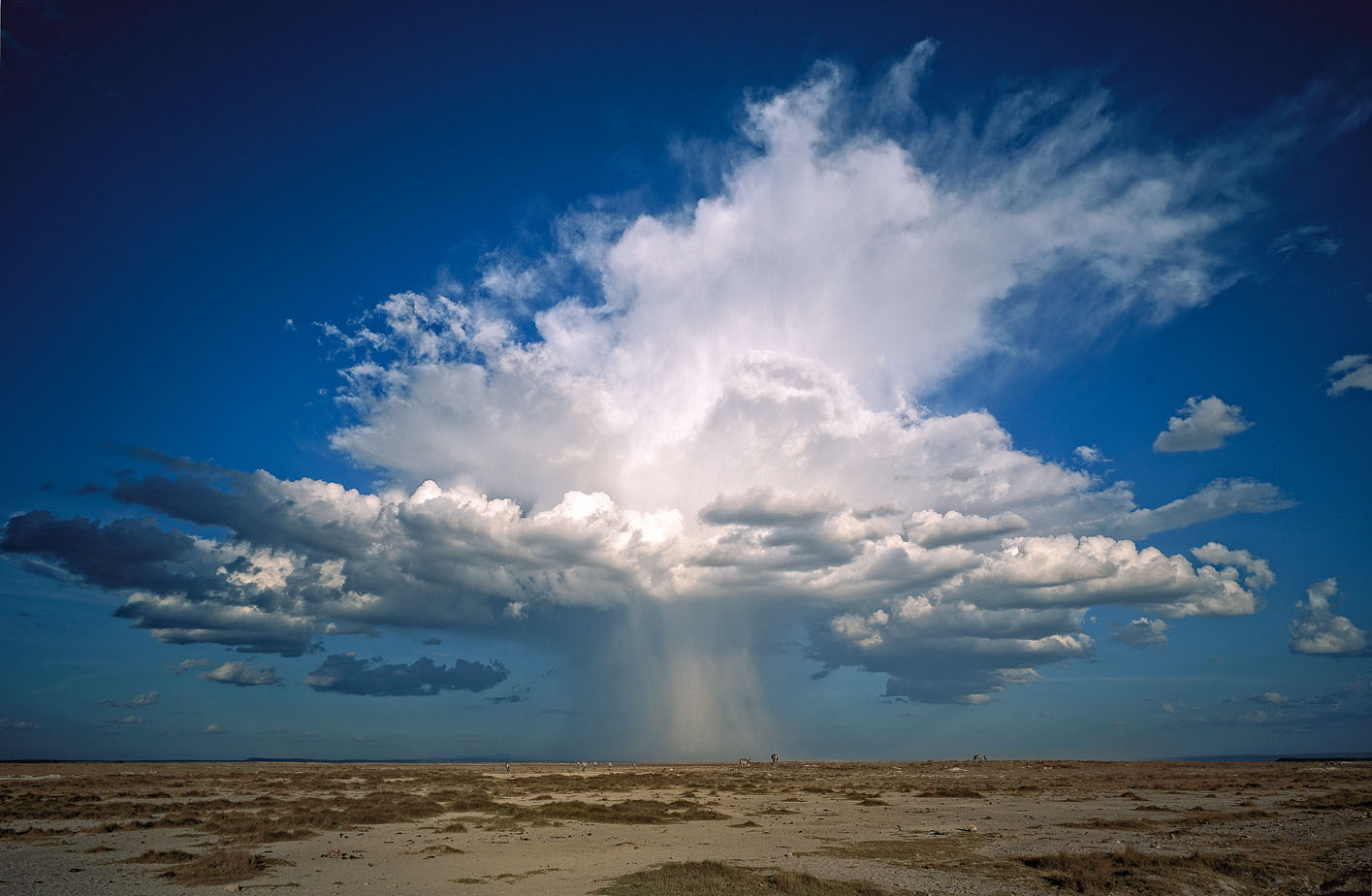 Amboseli National Park Kenya In some years the rains dont arrive in Amboseli - photo 18