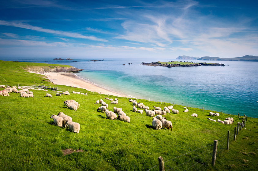 GEORGE KARBUS PHOTOGRAPHYGETTY IMAGES IRELANDS TOP 12 PLAN YOUR TRIP - photo 14