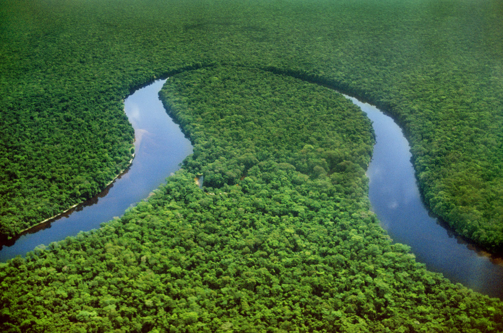 Democratic Republic of the Congo Snaking 4700km through the verdant rainforest - photo 15