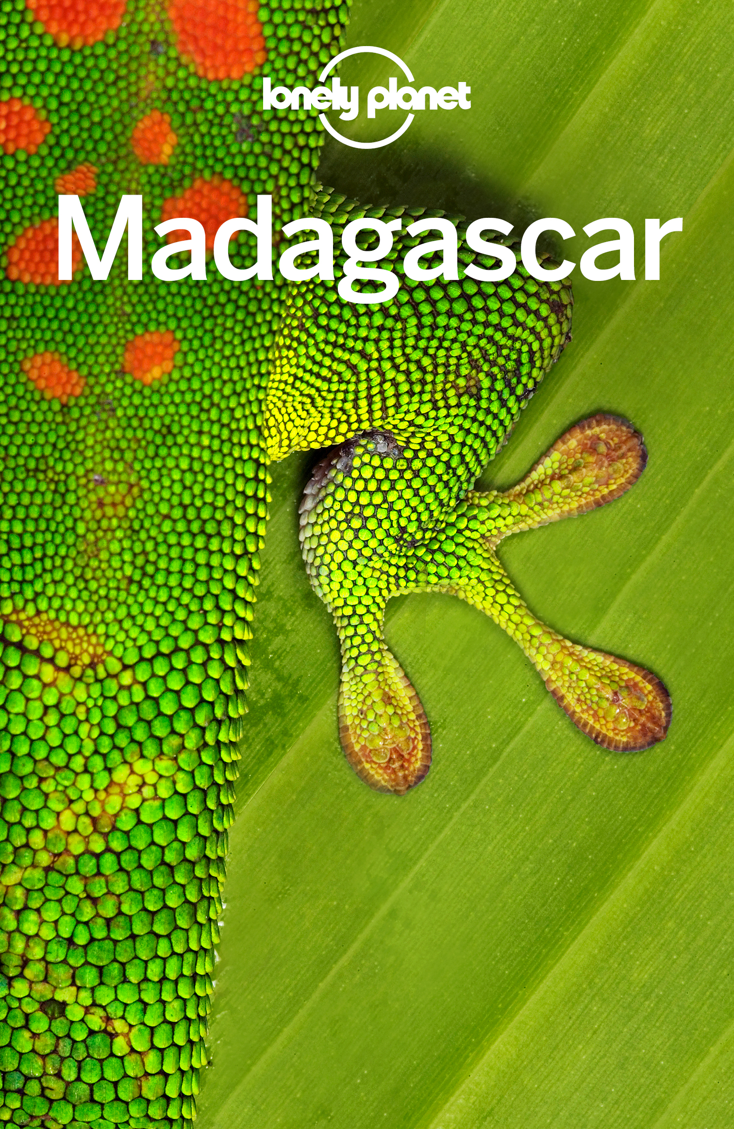 Madagascar Travel Guide - image 1