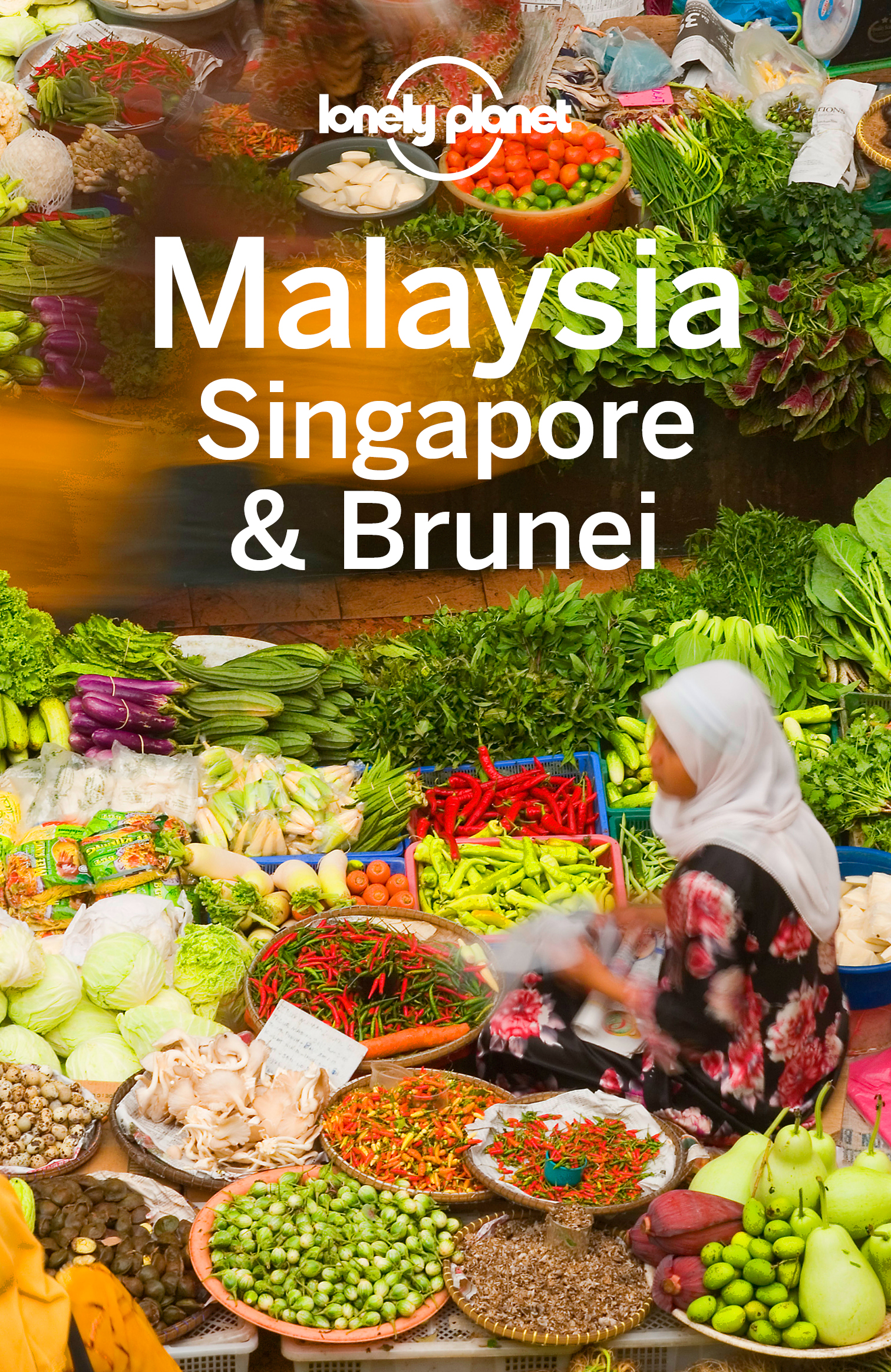 Malayasia Singapore Brunei Travel Guide - image 1