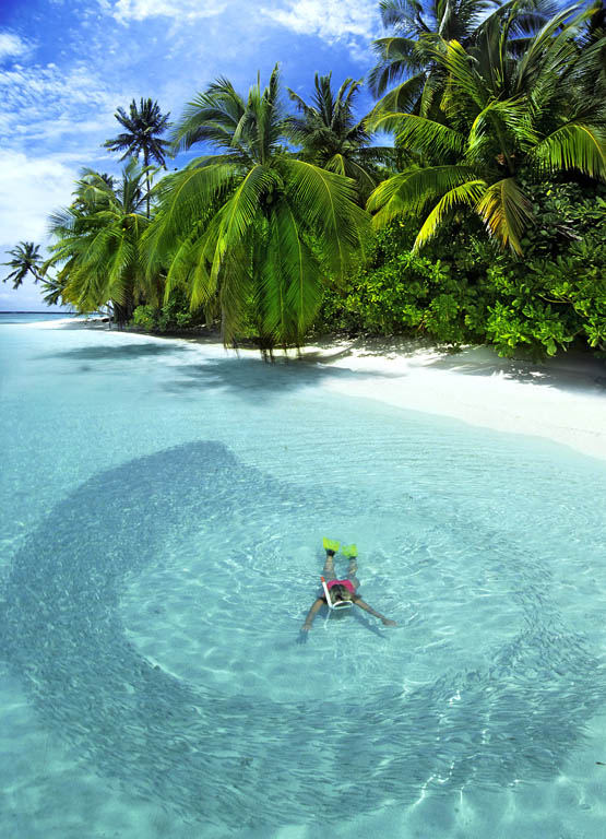 Swimming with the fish at Soneva Fushi MICHAEL MOXTERGETTY IMAGES Why I - photo 8