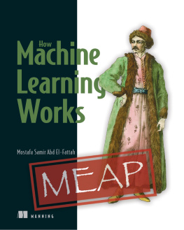 Mostafa Samir Abd El-Fattah - How Machine Learning Works MEAP V05