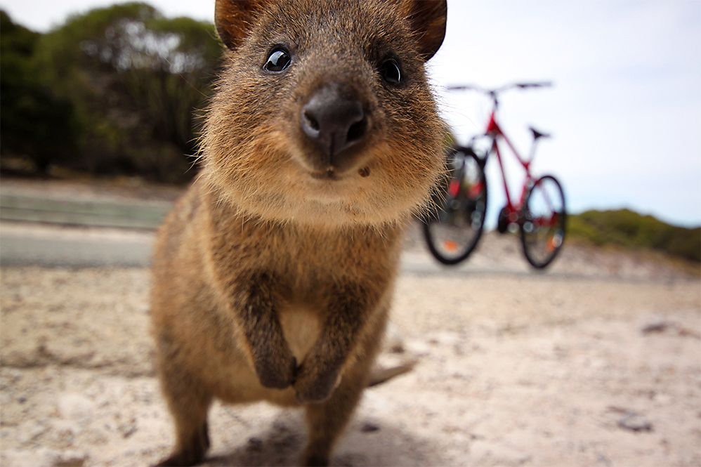 KATY CLEMMANSGETTY IMAGES Perth Fremantle Top Sights Perths version of - photo 10