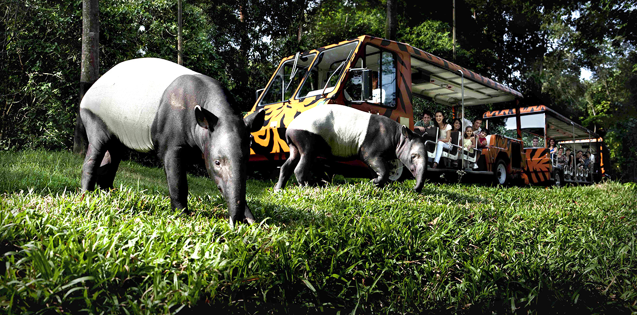 WILDLIFE RESERVES SINGAPORE Singapore Top Sights Spectacular gardens - photo 9