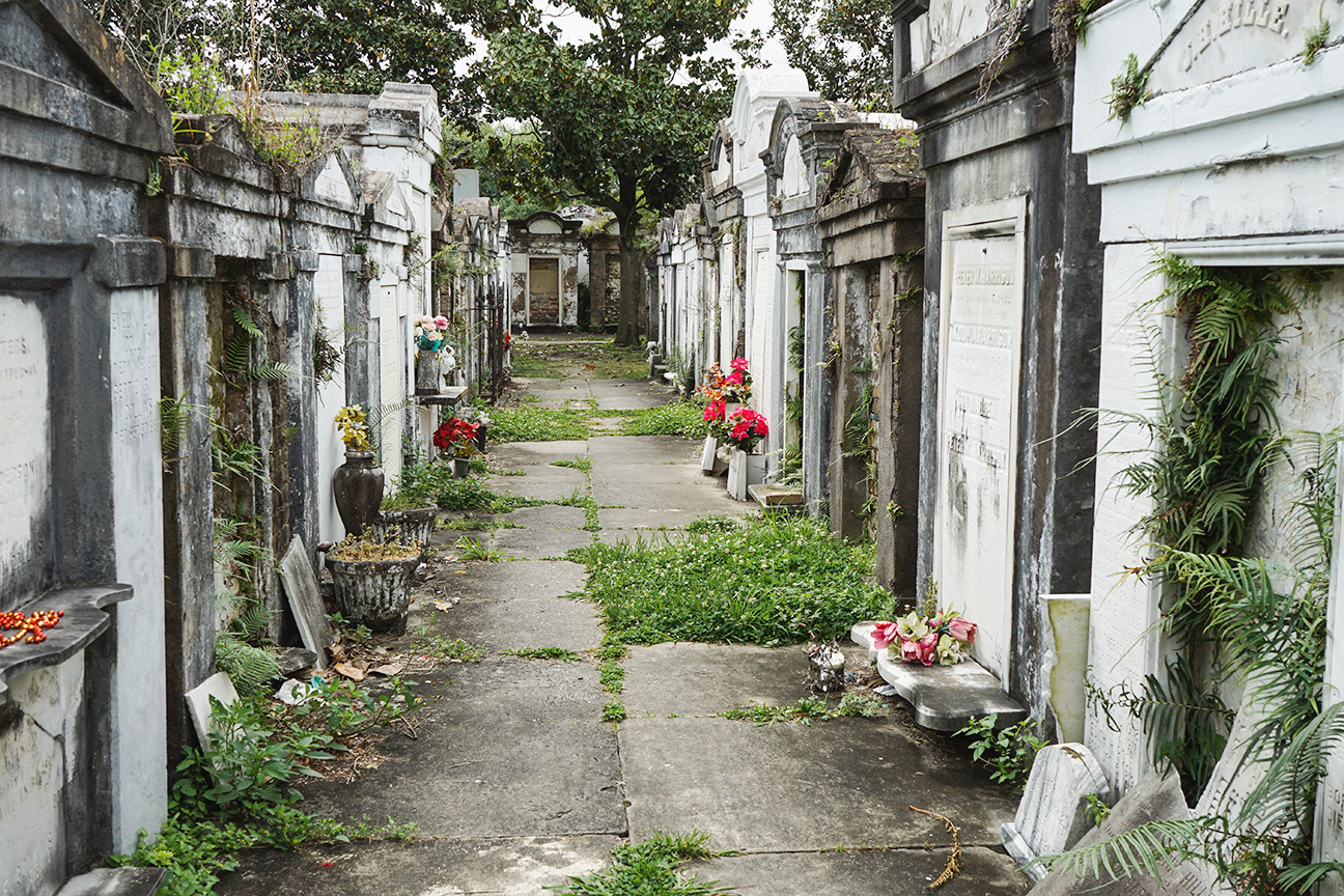 BASIL ANAS500PX New Orleans Top Sights Romantic public transportation - photo 8