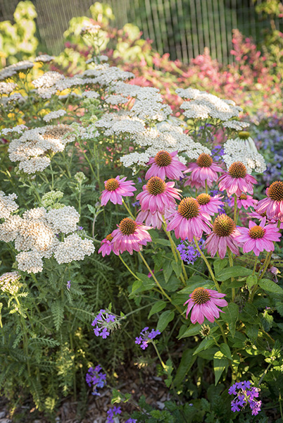 I have always been able to feel the life force inherent in plants as I have - photo 10