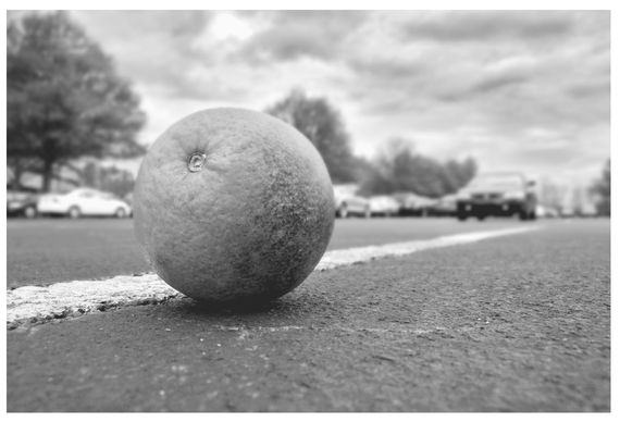 A forsaken orange sits in a Raleigh North Carolina parking lot PHOTO BY - photo 3